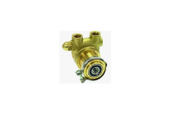 İTALYAN ROTOFLOW BRONZ POMPA 
