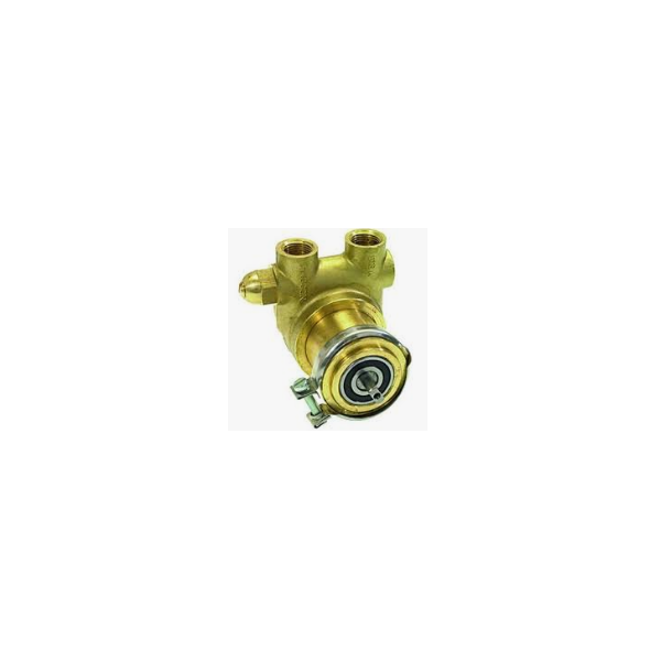 İTALYAN ROTOFLOW BRONZ POMPA 