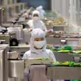 Food industry