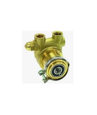 İTALYAN ROTOFLOW BRONZ POMPA 