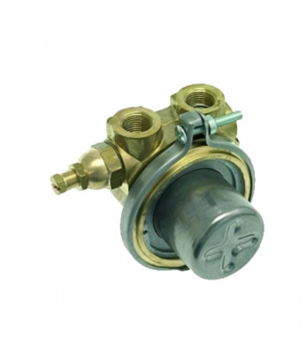AQUALİNE İTALYAN ROTOFLOW BYPASSLI BRONZ ROTOFLOW POMPA