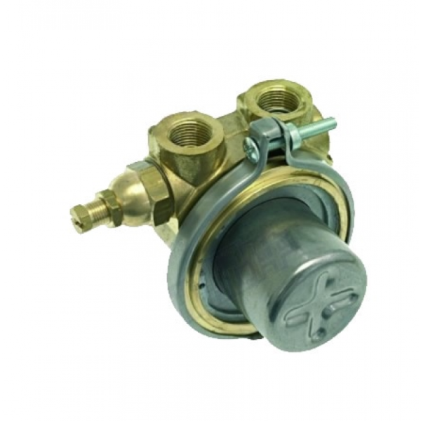 AQUALİNE İTALYAN ROTOFLOW BYPASSLI BRONZ ROTOFLOW POMPA